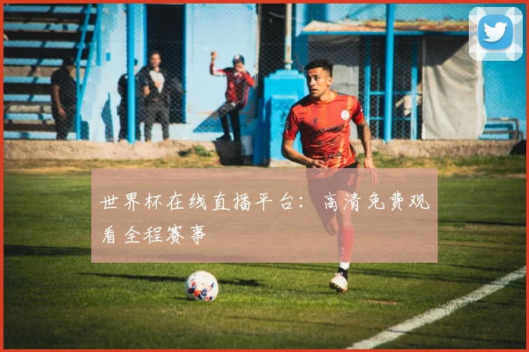 世界杯在线直播平台：高清免费观看全程赛事