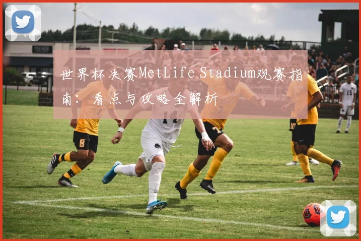 世界杯决赛MetLife Stadium观赛指南:看点与攻略全解析